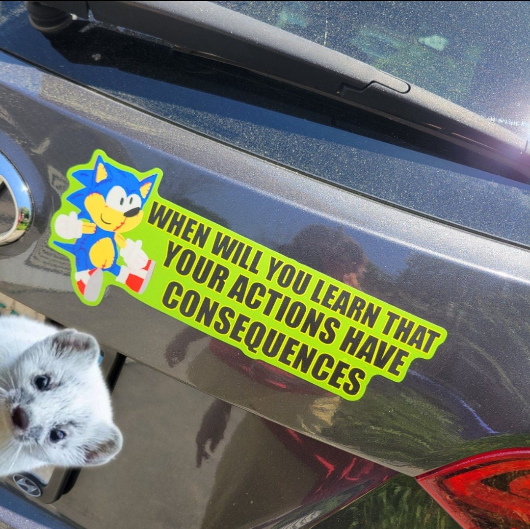 When Will You Learn Your Actions Have Consequences -- BUMPER STICKER - Pergerine Rabbit!!