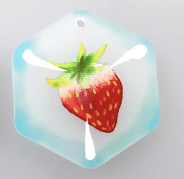 Fruity Frozen Ice Cube Frosted Finish Phone Charms/Keychains - Pergerine Rabbit!!